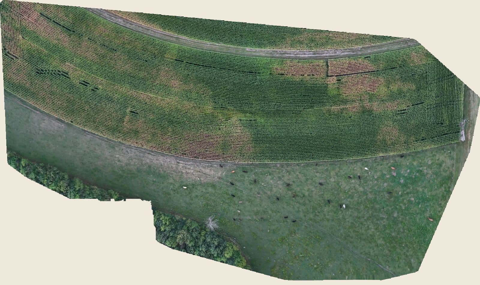 H-3 from our flight at five centimetres per pixel